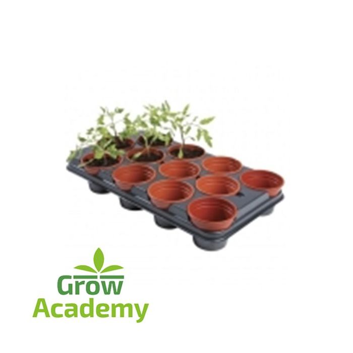 W58 Professional Growing Tray (12x11 cm Pots)