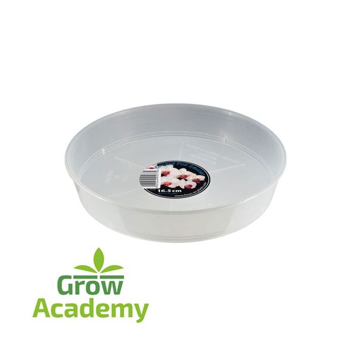 Clear Pot Saucer 13.5 cm