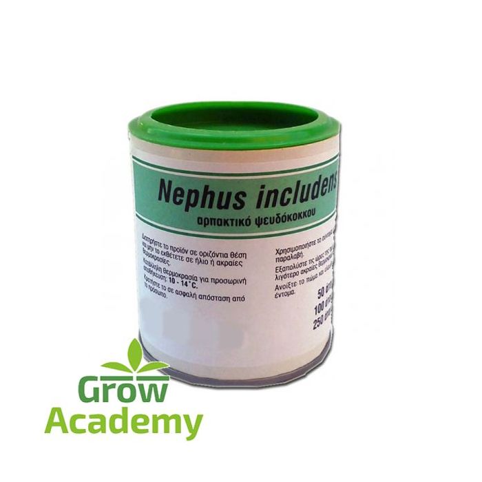 Nephus Includens 500 Adult