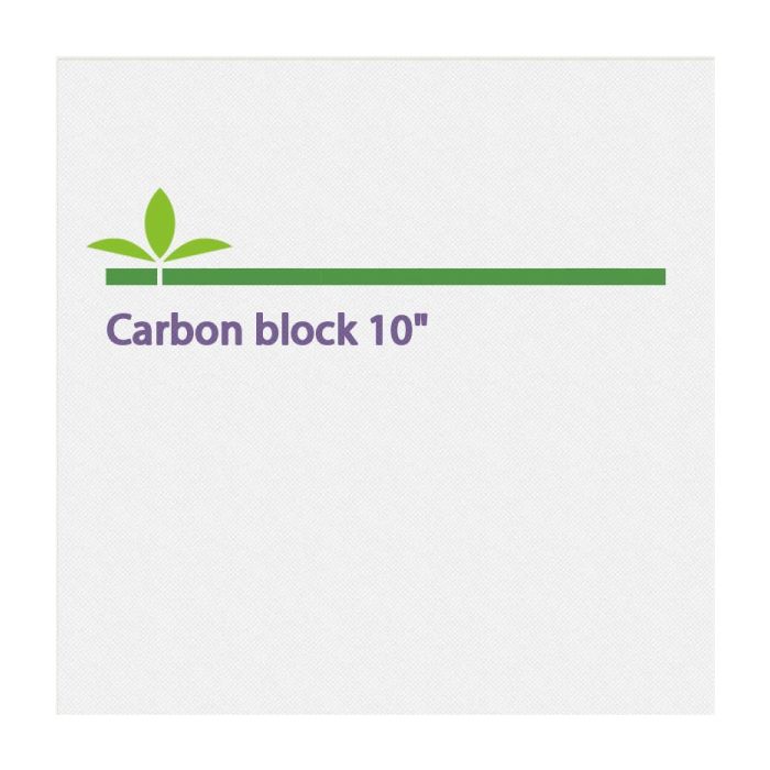 Carbon Block 10″