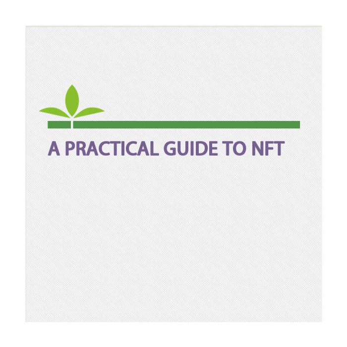 A Practical Guide To NFT