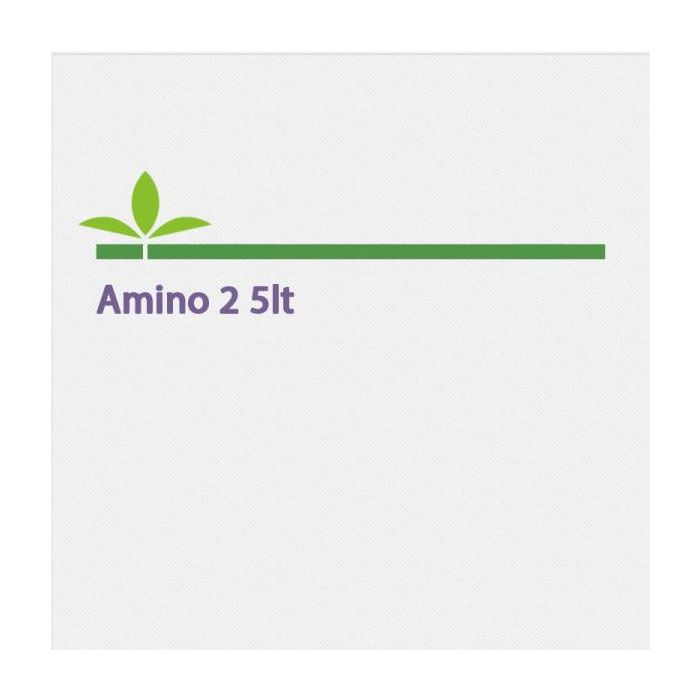 Amino 2 - 5lt